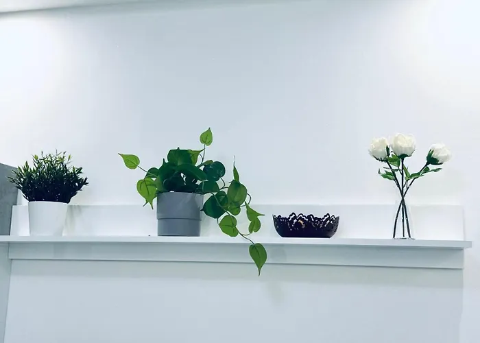 아파트 Corallina